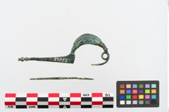 Foto von Bronzekahnfibel (NHMW-PRAE-024752)